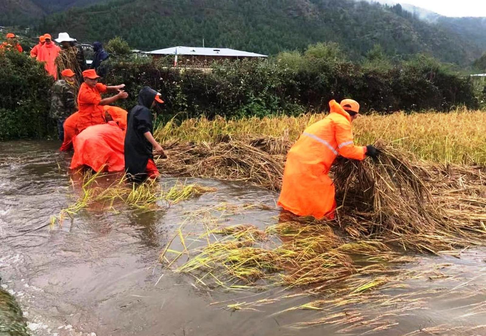 Helping the farmers in times of need. 